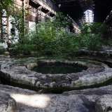 Entrando nell'edificio principale delle acciaierie spunta una vecchia vasca piena d'acqua circondata da verde spontaneo